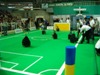 Robotica 2004