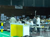 Robotica 2006